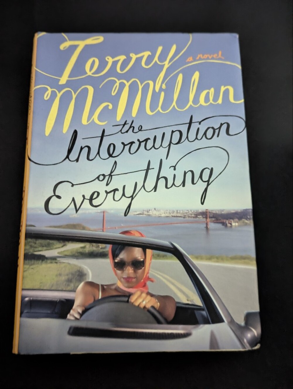 The Interruption of Everything paperback - Terry McMillan